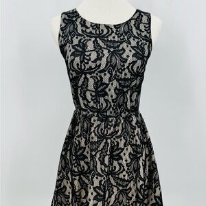 Three Pink Hearts Elegant Black Lace Dress, S